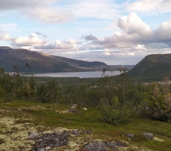 Квартира в Дом в наём