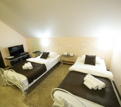 Стандартный двухместный номер в Chelny Inn