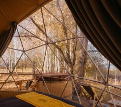 Сфера Янтарь в Holidays Forest