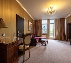 Делюкс в Azimut Парк Отель&Спа Репино