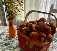 Шестиместный коттедж с 3 комнатами с красивым видом из окна в Купчиха