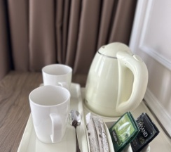 Люкс 1 в Элегия