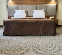 Двухместный номер Standard двуспальная кровать в Grand Eurasia Hotel