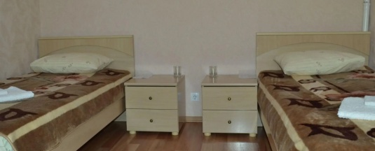 Двухместный номер Standard (2 отдельные кровати) в Центральная