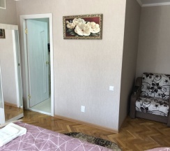 Двухместный номер Standard двуспальная кровать в Надежда
