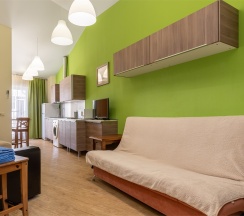 Апартаменты Люкс (Однокомнатный 2-х местный номер c кухней без балкона) в Odeon