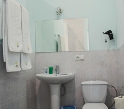 Номер полулюкс с 1 двуспальной кроватью в Триумф