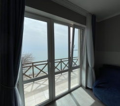 Делюкс в Olza Hotel