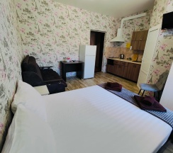 СТУДИЯ КЛАССИК С КУХНЕЙ в Одиссей