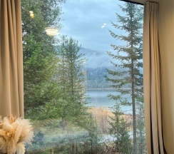 Стандарт в Телецкое Золотое