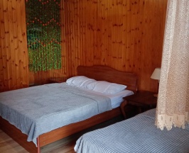 Трёхместный номер Classic в Гостевой дом