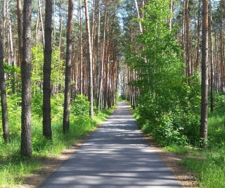 Отель Европа в Белгороде