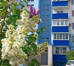 Квартира в Апартаменты на проспект имени Ленина, д.116
