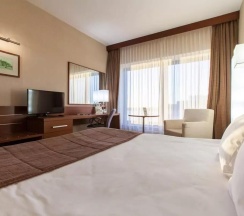 Номер комфорт с 1 двуспальной кроватью king-size и видом на Волгу в HolidayHall