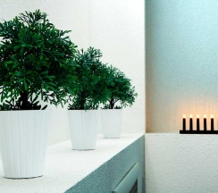 Номер люкс в Stone