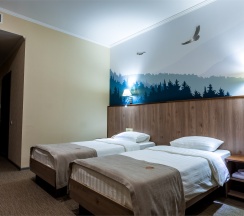 Двухместный стандарт  1 категории в Жемчужина Белокурихи