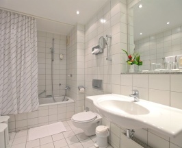 Двухместный номер Standard в Hotel Viktoria