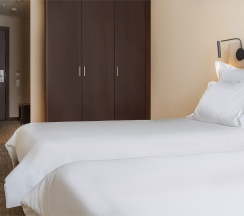 Business Twin в Gorskiy city hotel