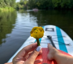 Дом 18 кв. м. № 4 (вместимость 2 взрослых, 2 ребенка) в У реки