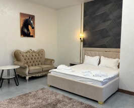 Люкс в Elite Hotel