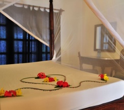 Двухместный номер Standard двуспальная кровать в Barracuda Inn Resort