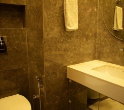 Номер Standard в Treebo Park Grace