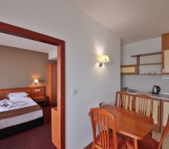 Апартаменты Standard c 1 комнатой в Prestige Hotel and Aquapark