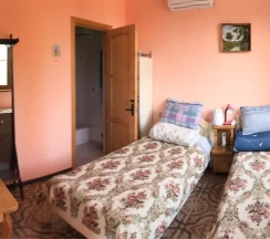 Двухместный номер Standard 2 отдельные кровати в Эль Платано