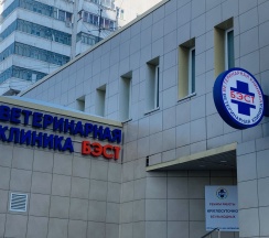 Квартира в Апартаменты на ул. Ленина 81-18(1(2+2)