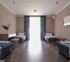 4-местный 2-комнатный номер люкс семейный в Ника