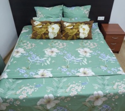 Отдельный номер  Комфорт  с собственным душем и туалетом в Ваш миниотель