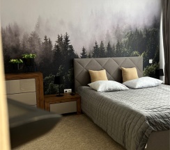 JUNIOR SUITE в Dolphin planet
