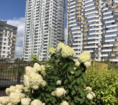 Квартира в Апартаменты на Ул.Лескова, д.25