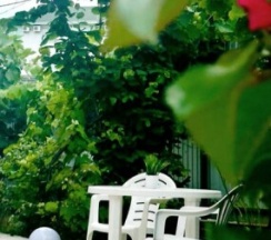 3- местный номер Супериор в Петрович