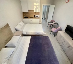 Апартаменты-студио ЖК "Салют" в Rauktis apartments