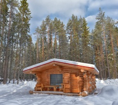 Коттедж "Совенок", 1 спальня в Медвежка в Карелии