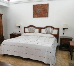 Двухместный номер Standard двуспальная кровать в Hotel Aitana Oaxaca
