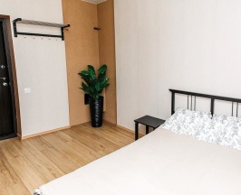 Номер Standard в Импульс