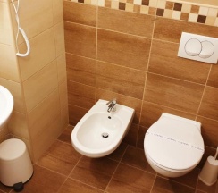 Двухместный номер Standard двуспальная кровать в Diana Club Hotel