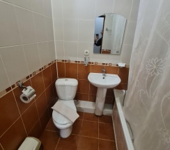 Трехместный номер с 3 односпальными кроватями в Европа