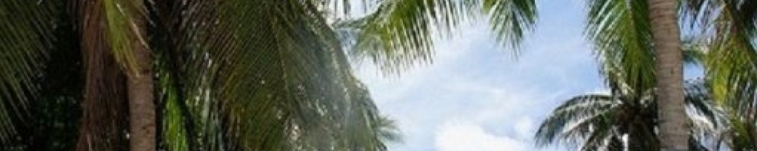 Двухместный номер Standard двуспальная кровать в Sea Love Bungalows