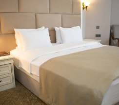 Двухместный номер Superior двуспальная кровать в Казахстан