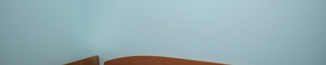 1-местный номер эконом в Алтай