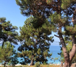 Стандартный номер с балконом в Саучи