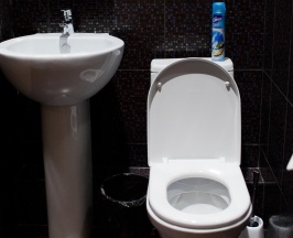 Номер стандарт эконом с 3 односпальными кроватями в Parallel