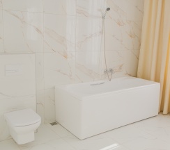 202 Улучшенный Стандарт в Freedom