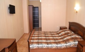 Двухместный номер комфорт в Plaza