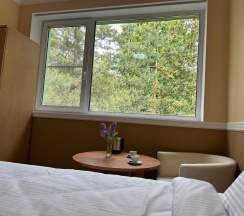 Номер стандарт улучшенный в Forest Relax