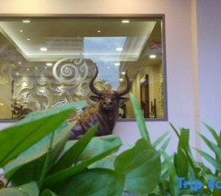 Трёхместный семейный номер Standard с видом на город в The AGATE Pattaya Boutique Resort