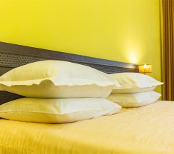 Президентский люкс PSUI в Гладенькая